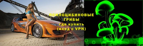 крисы Алексин
