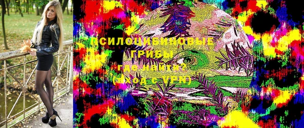 ГАЛЛЮЦИНОГЕННЫЕ ГРИБЫ Аркадак