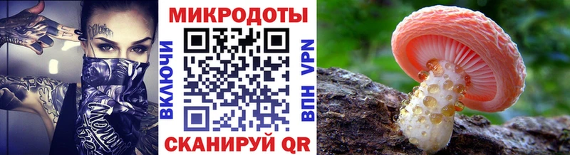 Галлюциногенные грибы Psilocybe  МЕГА вход  Холм 
